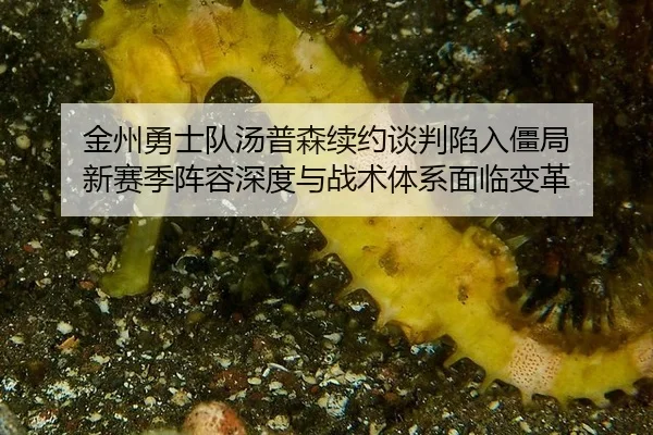 金州勇士队汤普森续约谈判陷入僵局 新赛季阵容深度与战术体系面临变革